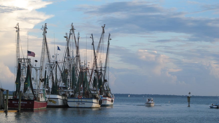 Seafood Labeling660.jpg